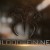 Restructuring Gaming on Bloodvein.net