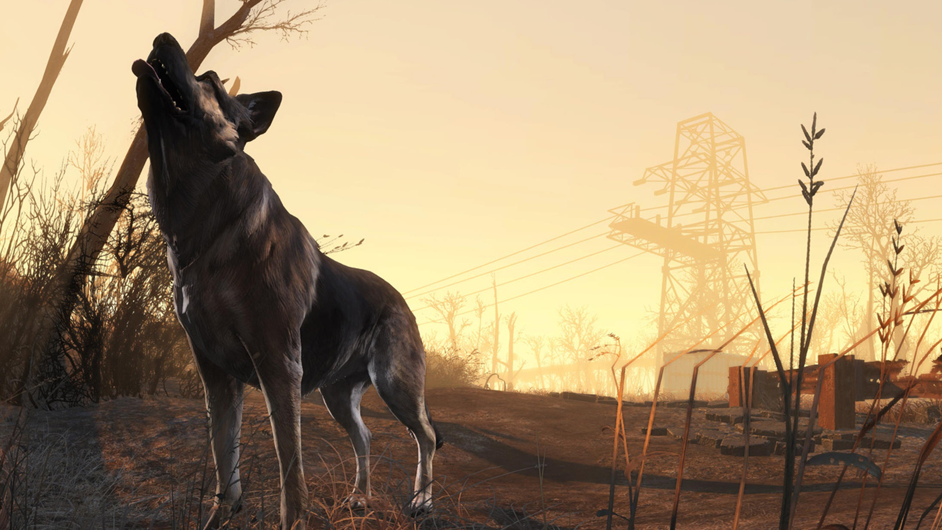 Fallout 4 4k dogmeat фото 18
